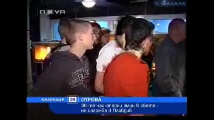 Най - отровните змии в света у нас на изложба в Пловдив