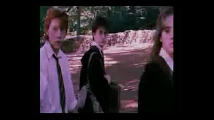 Harry/Hermione/Ron - Keep Holding On Ron