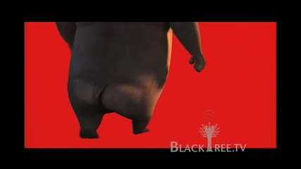 Will.i.am - I Like to Move It Madagascar 2 Escape 2 Africa 