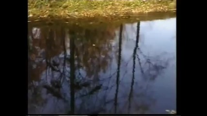 Пожълтяли листа . . Нина Пантелеева