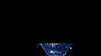 The pro skull Video