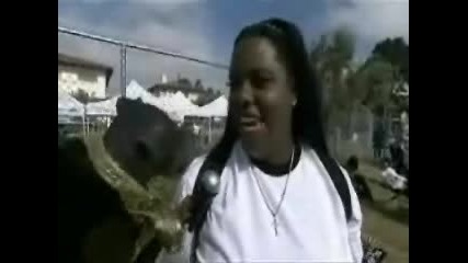 Triumph Vs. Michael Jackson