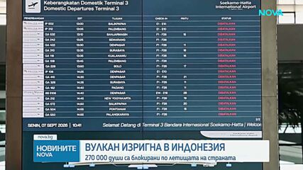 Над 270 000 пътници са блокирани на 7 летища в Индонезия