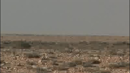 Egypt Desert . 