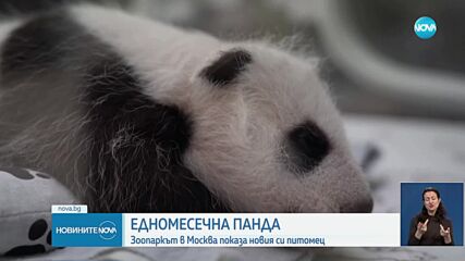 Зоопаркът в Москва показа новия си питомец