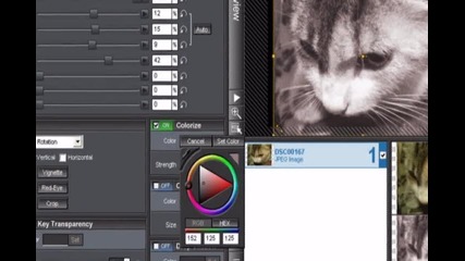 Proshow Producer coloring 4