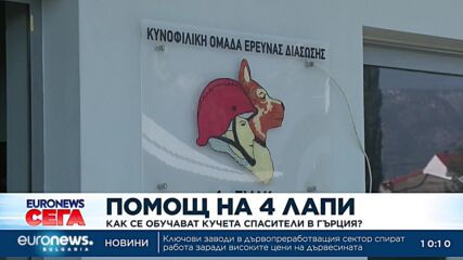 Помощ на 4 лапи: Как се обучават кучета спасители в Гърция?