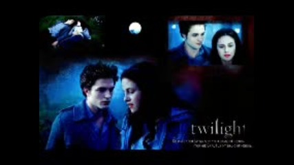 The Twilight Saga