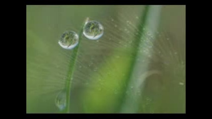 Silverly Drops - Kitaro