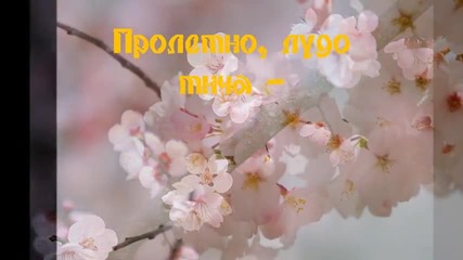✿ ♡ ✿ Пролет е ✿ ♡ ✿ Лилия Велчева
