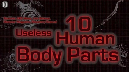 Топ 10 безполезни човешки части на тялото