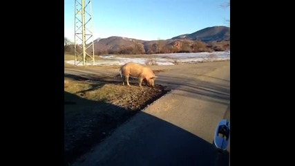 100 kila няма начин...
