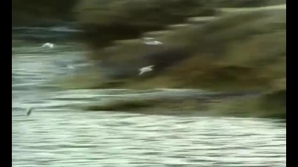 Zorica Markovic - Devojacka tuga (ofiicial video)