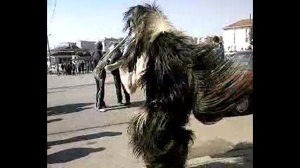 kukerov den v debelt 2010 