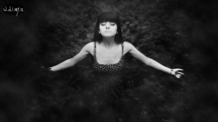 Awaken The Echoes - Falls Down