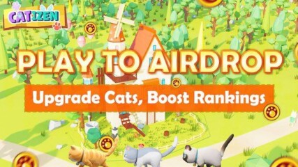 Catizen bot - How to play and Upgrade Level 16