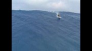 Феноменална Цунами Вълна Със Сърфист
