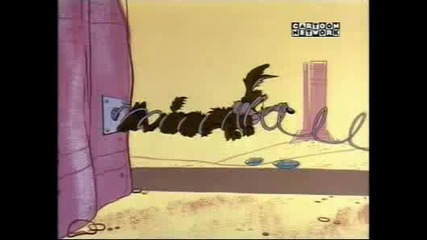 Road Runner - Scrambled Aches