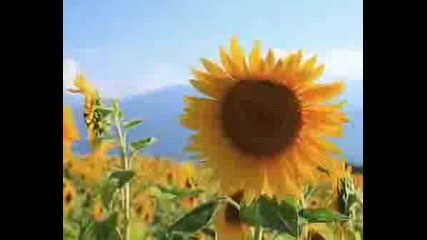 Sarah Brightman & Andrea Bocelli - Time to Say Goodbye