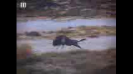 Videos from All Time 10s - Bing