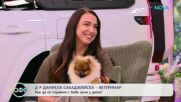 Д-р Даниела Сакаджийска: Грижата за кучето продължава през целия му живот | На кафе | 5 окт. 2026