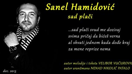 Sanel Hamidovic 2014 - Sad Placi