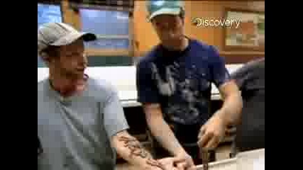 Dirty Jobs Blood Worms
