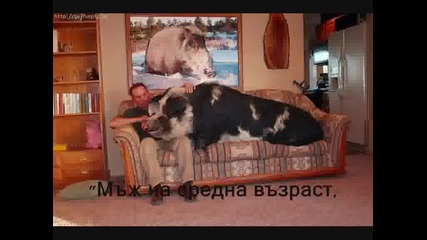 Обяви..