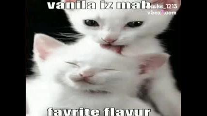 Смешни котки ! 
