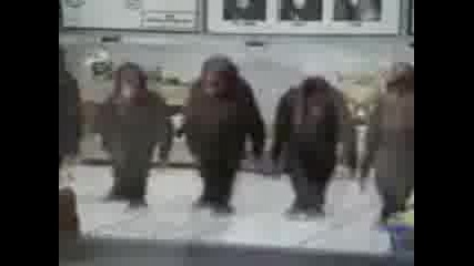 Maimunski tanc