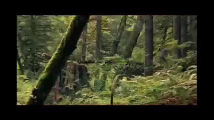 New World Disorder 8 - Crash Big Bonus]