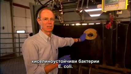 Храна Оод - 3/9