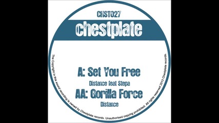 Distance - Set You Free (ft. Stepa)