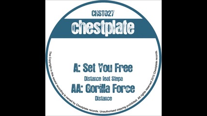 Distance - Set You Free (ft. Stepa)
