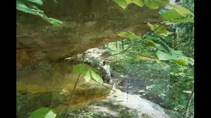 grays arch 