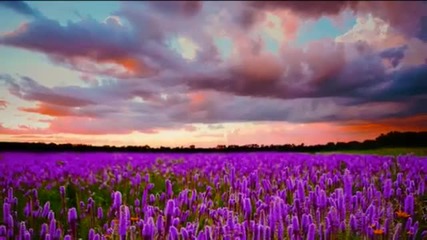 Pete Silver - Welcome To Wonderland (touchstone Remix)
