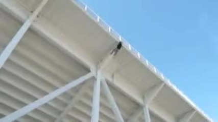 Те това се казва да не се страхуваш от високо!