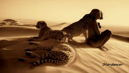 Sahara Lounge