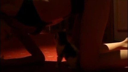 Сладката Ева се заиграва с котето ! 