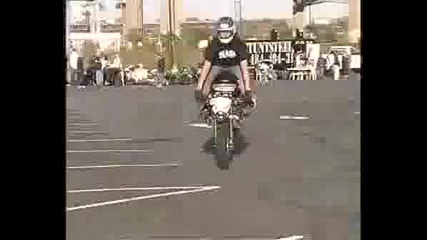 Stunt Show