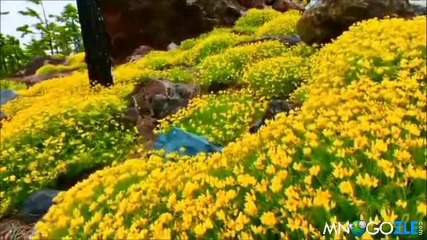 Красивата и прелестна природа