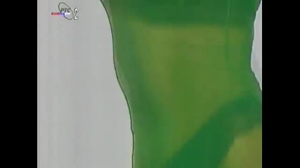 Ceca 1995 - Nije monotonija [hq]