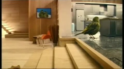 Реклама на сок - Птича къща