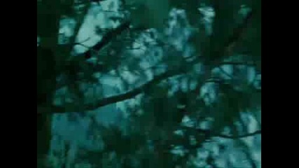 Twilight (hero)