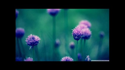 Ferrin & Morris - Human (original Mix)