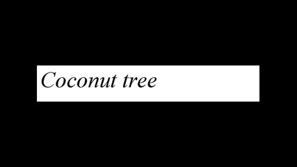 Coconut tree - Mohombi ft. Nicole Scherzinger