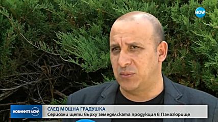 Сериозни щети върху земеделската продукция в Панагюрище след градушка