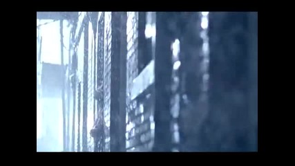 Blake Shelton - Don't Make Me ( Official Video )