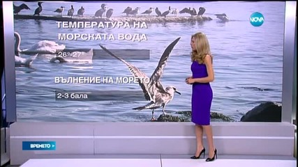 Прогноза за времето (10.08.2015 - централна)