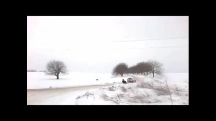 Пернишки Аргамак